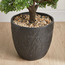 شجرة بونساي - 90 سم-household-gardenandoutdoor-artificialplants-bonsai-image-2