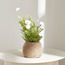 ورد صغيرة في إناء - 33 سم-binpromo_ALLBANKS_OMN_14032025-image-3