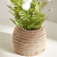 ورد صغيرة في إناء - 33 سم-binpromo_ALLBANKS_OMN_14032025-image-2