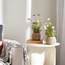 ورد صغيرة في إناء - 33 سم-binpromo_ALLBANKS_OMN_14032025-image-1