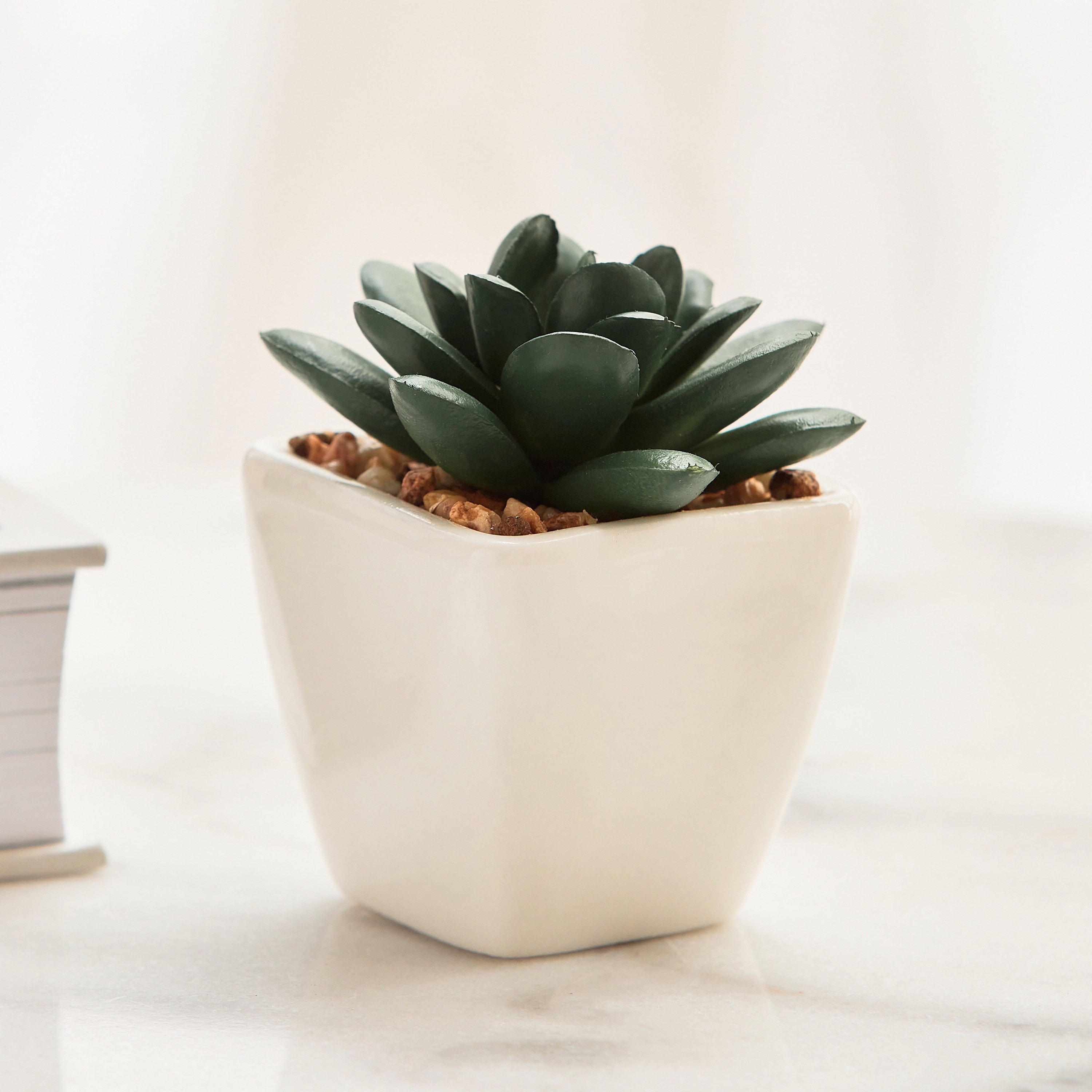 Succulent in Ceramic Pot - 8 cm-household-gardenandoutdoor-artificialplants-succulents-image-1