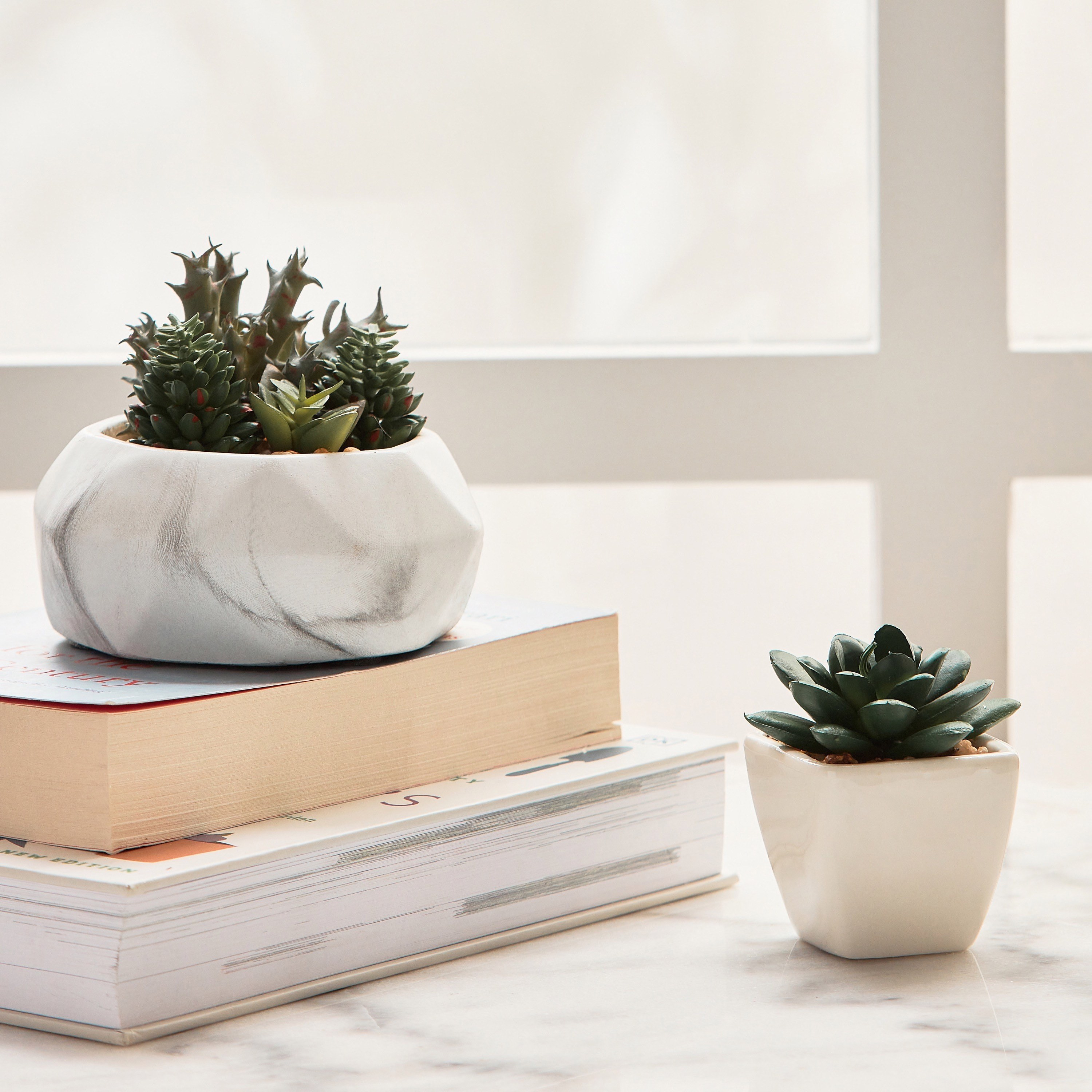 Succulent in Ceramic Pot - 8 cm-household-gardenandoutdoor-artificialplants-succulents-image-3