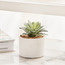 Succulent in Ceramic Pot - 10 cm-household-gardenandoutdoor-artificialplants-succulents-image-1