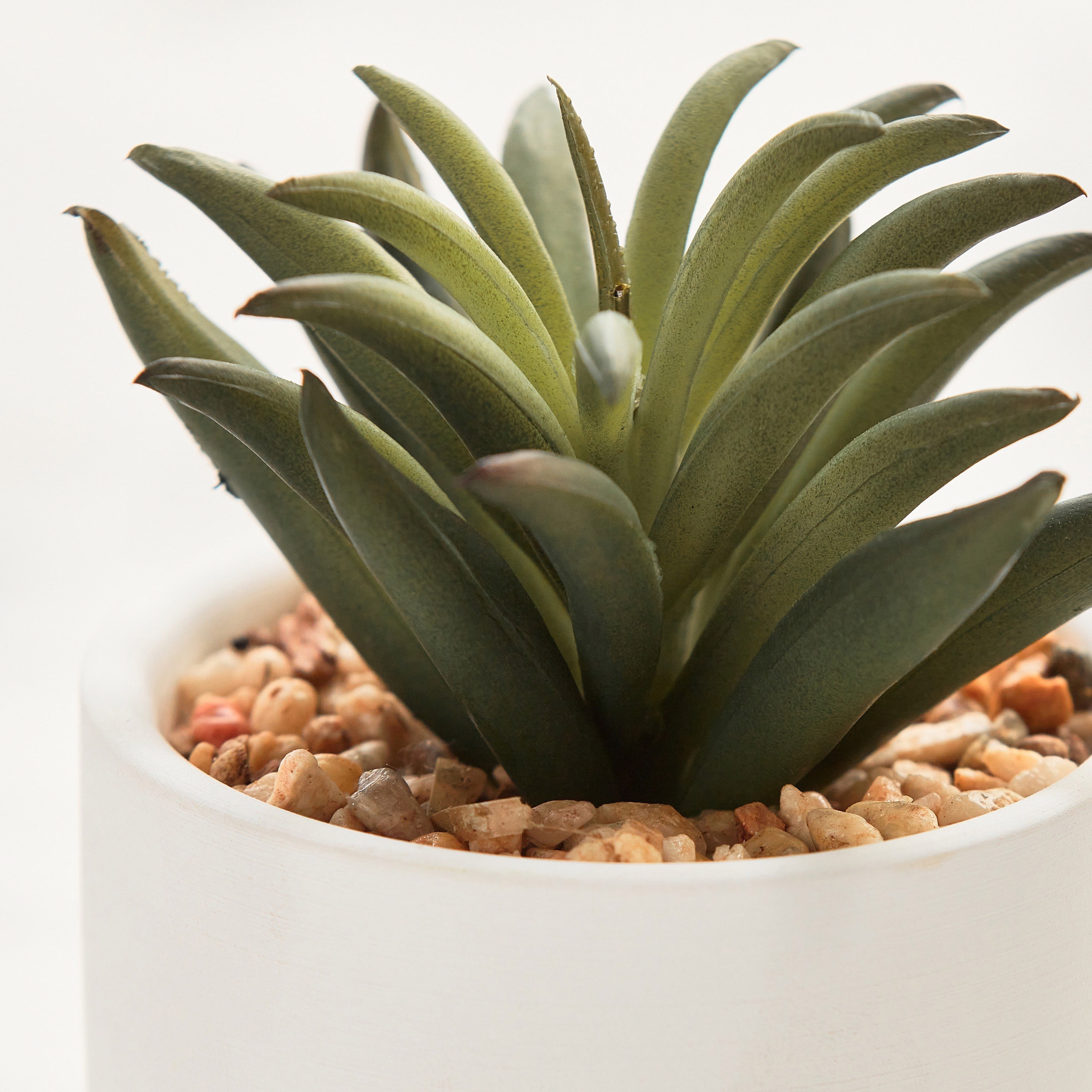 Succulent in Ceramic Pot - 12 cm-household-gardenandoutdoor-artificialplants-succulents-image-2