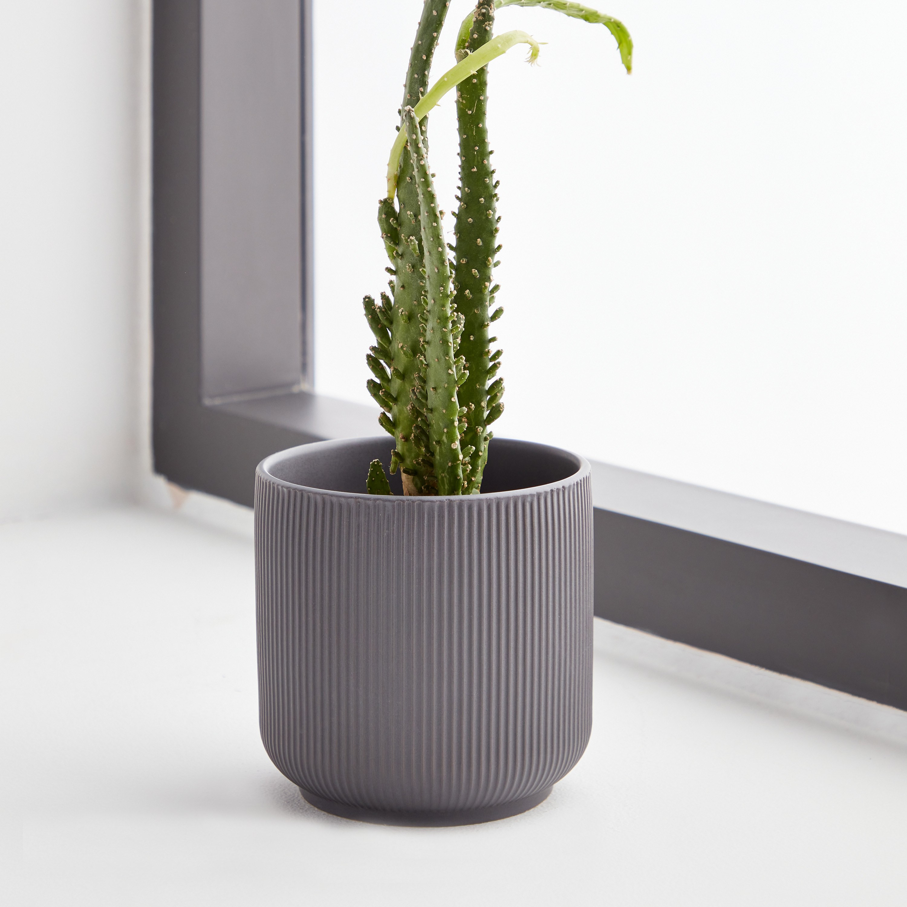 Vesta Ceramic Planter - 12 cm-household-gardenandoutdoor-potsandplanters-planters-image-1