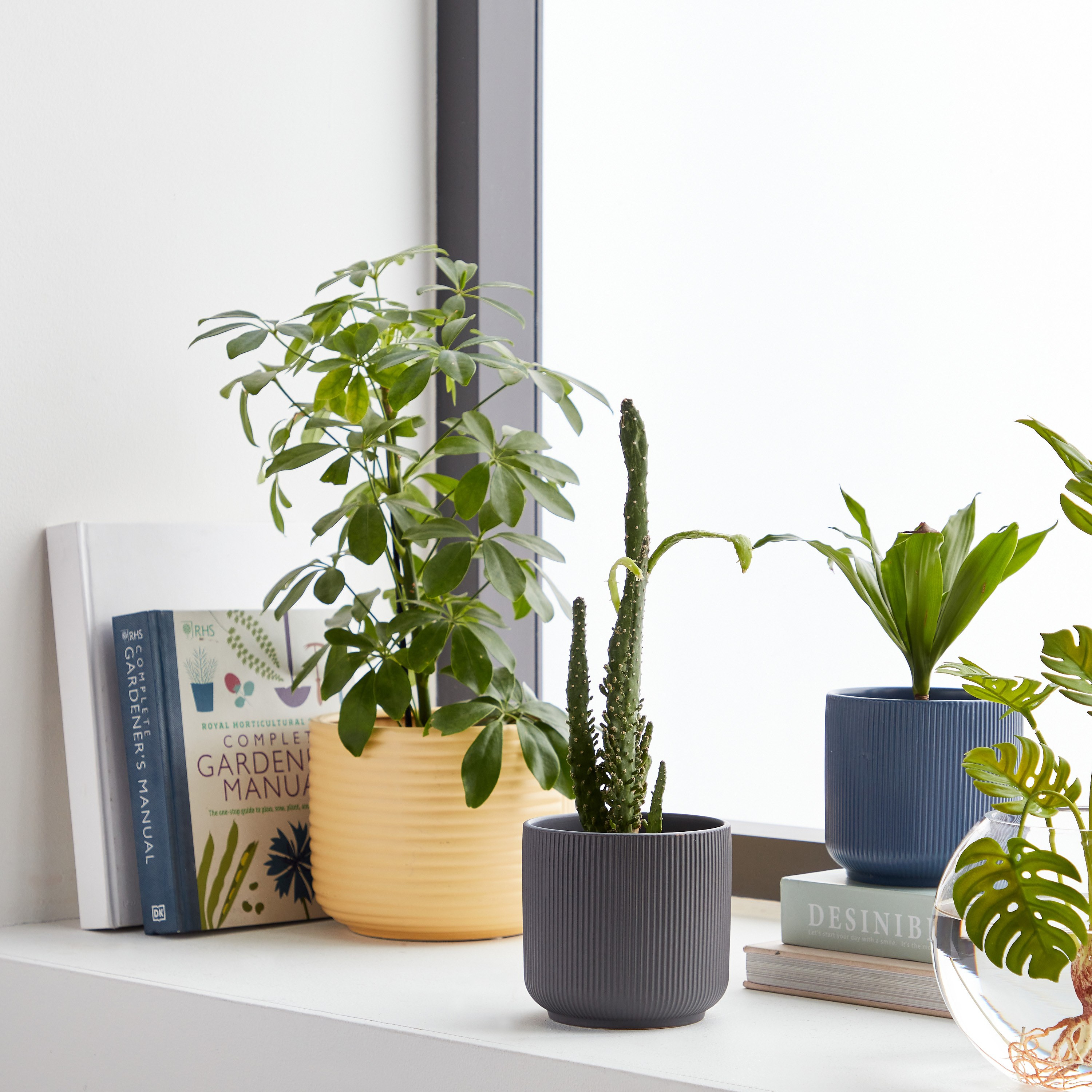 Vesta Ceramic Planter - 12 cm-household-gardenandoutdoor-potsandplanters-planters-image-4