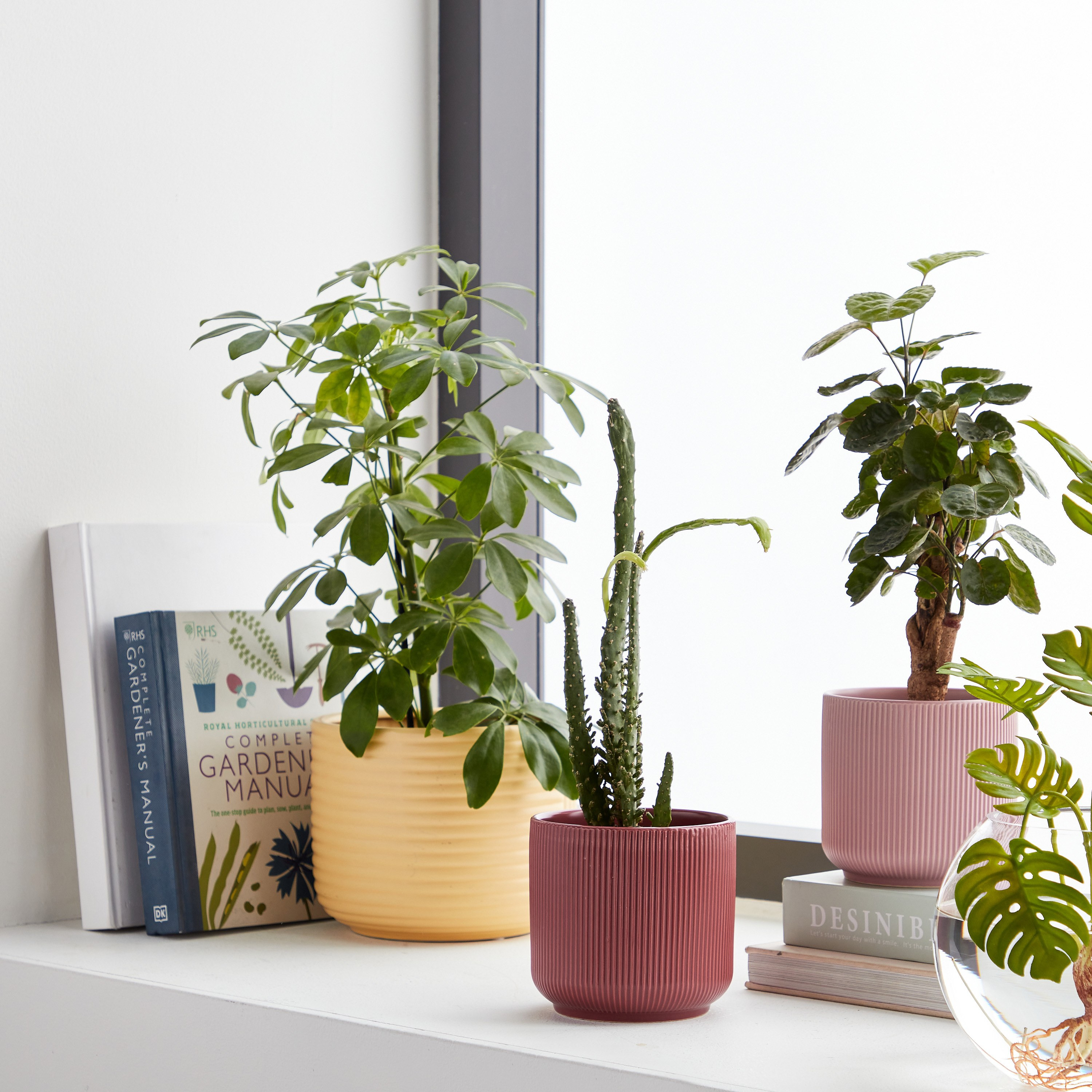 Vesta Ceramic Planter - 12 cm-household-gardenandoutdoor-potsandplanters-planters-image-4