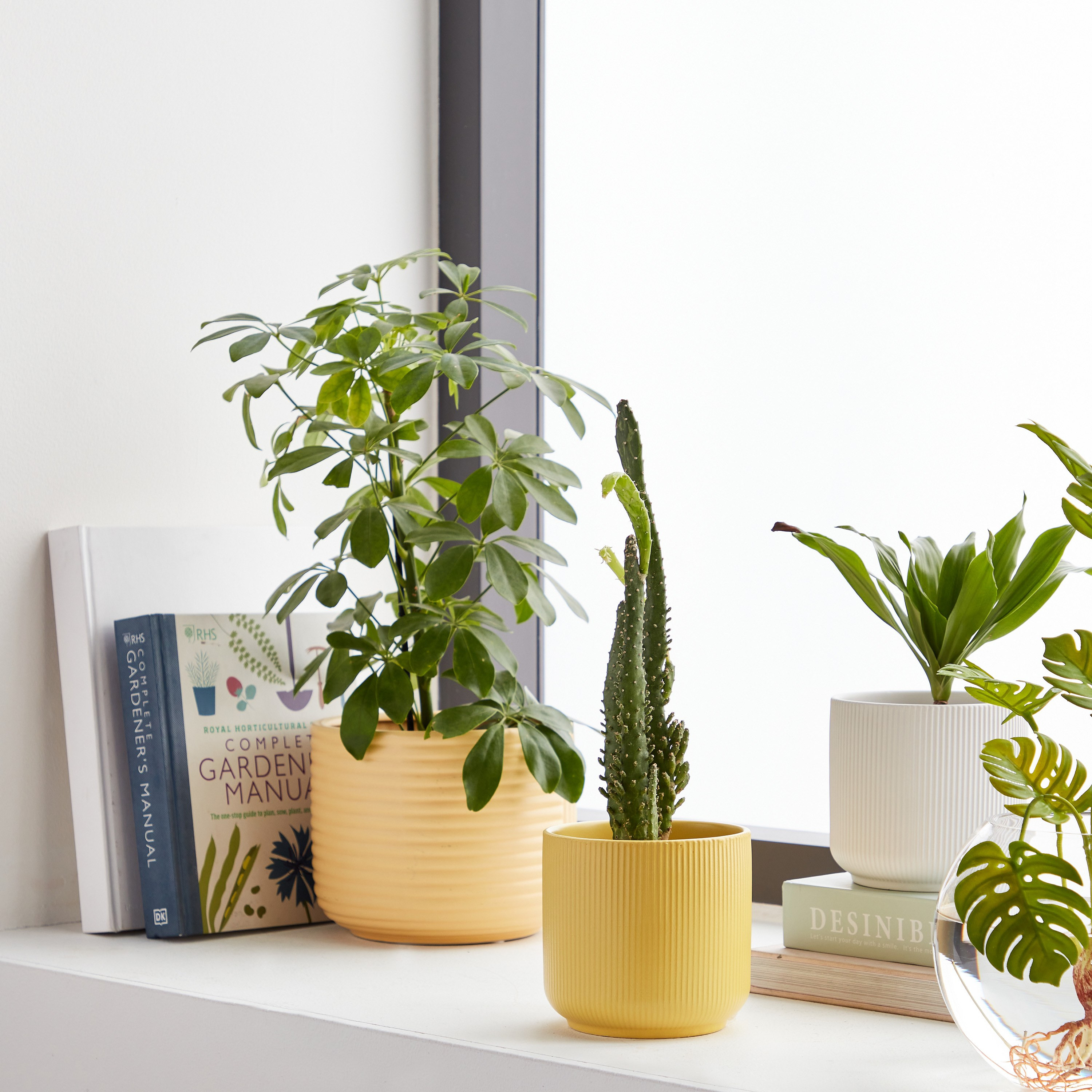 Vesta Ceramic Planter - 12 cm-household-gardenandoutdoor-potsandplanters-planters-image-4