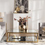 طاولة قهوة بسطح زجاجي - أتريسا-furniture-livingroom-coffeetables-image-2