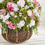 نبات روز مع إناء زرع - زيا - 58 سم-household-gardenandoutdoor-artificialflowersandplants-flowers-image-2