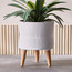 Chloe Ceramic Footed Planter - 23 cm-binpromo_KSA_Alrajhi_17062026-image-1