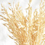 Deco Avana Bunch - 25 cm-household-gardenandoutdoor-artificialflowersandplants-fillers-image-2