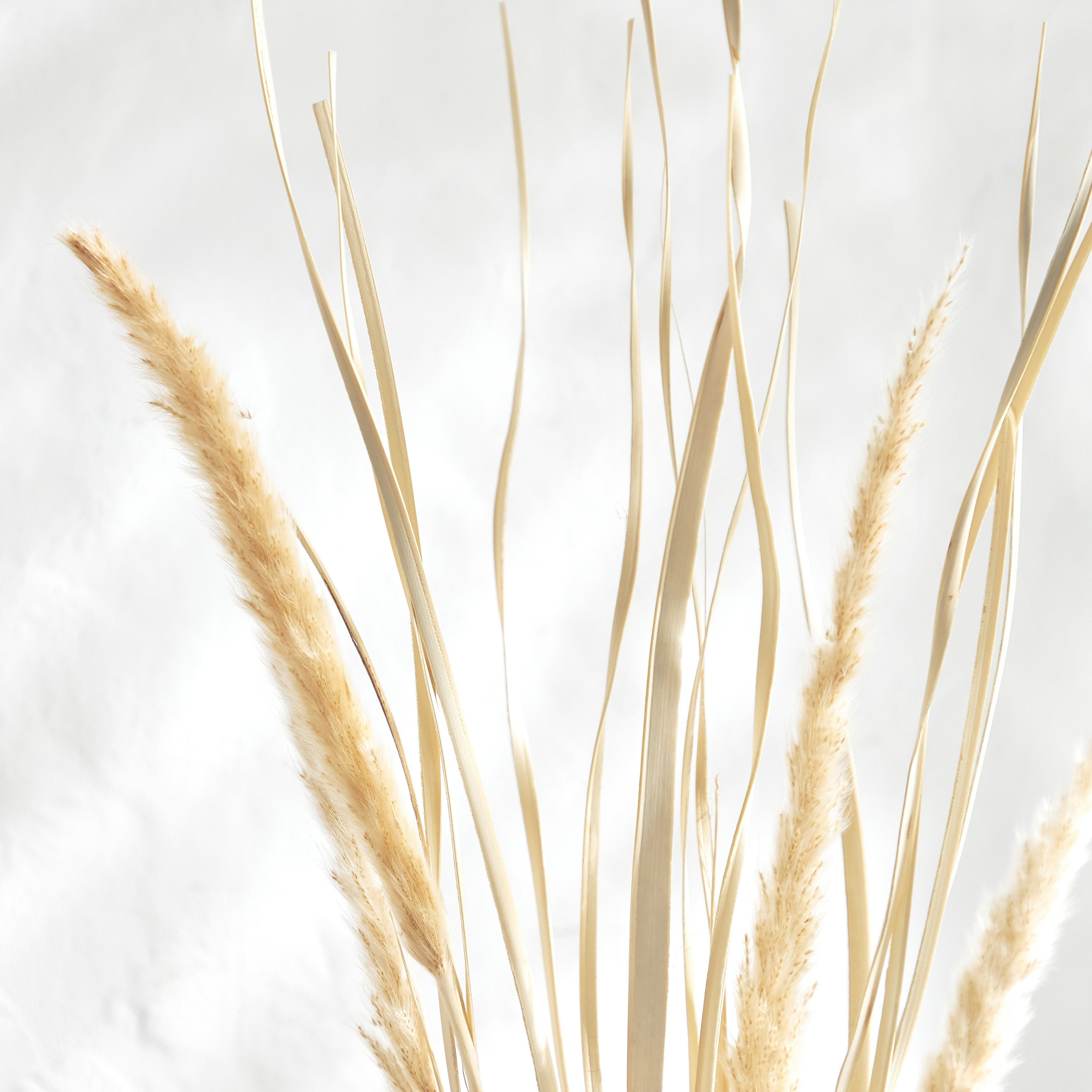 Deco Fox Tail - 90 cm-household-gardenandoutdoor-artificialflowersandplants-fillers-image-2