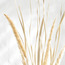 Deco Fox Tail - 90 cm-household-gardenandoutdoor-artificialflowersandplants-fillers-image-2