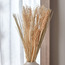 Mixed Pampas - 43 cm-Voucher_HCOC_ALL_25022025-image-1