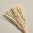 Mixed Pampas - 43 cm-Voucher_HCOC_ALL_25022025-image-3