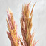 Decorative Pampas - 52 cm-household-gardenandoutdoor-artificialflowersandplants-fillers-image-2