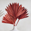 Decorative Palm - 27 cm-household-gardenandoutdoor-artificialflowersandplants-fillers-image-1