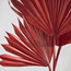 Decorative Palm - 27 cm-household-gardenandoutdoor-artificialflowersandplants-fillers-image-2
