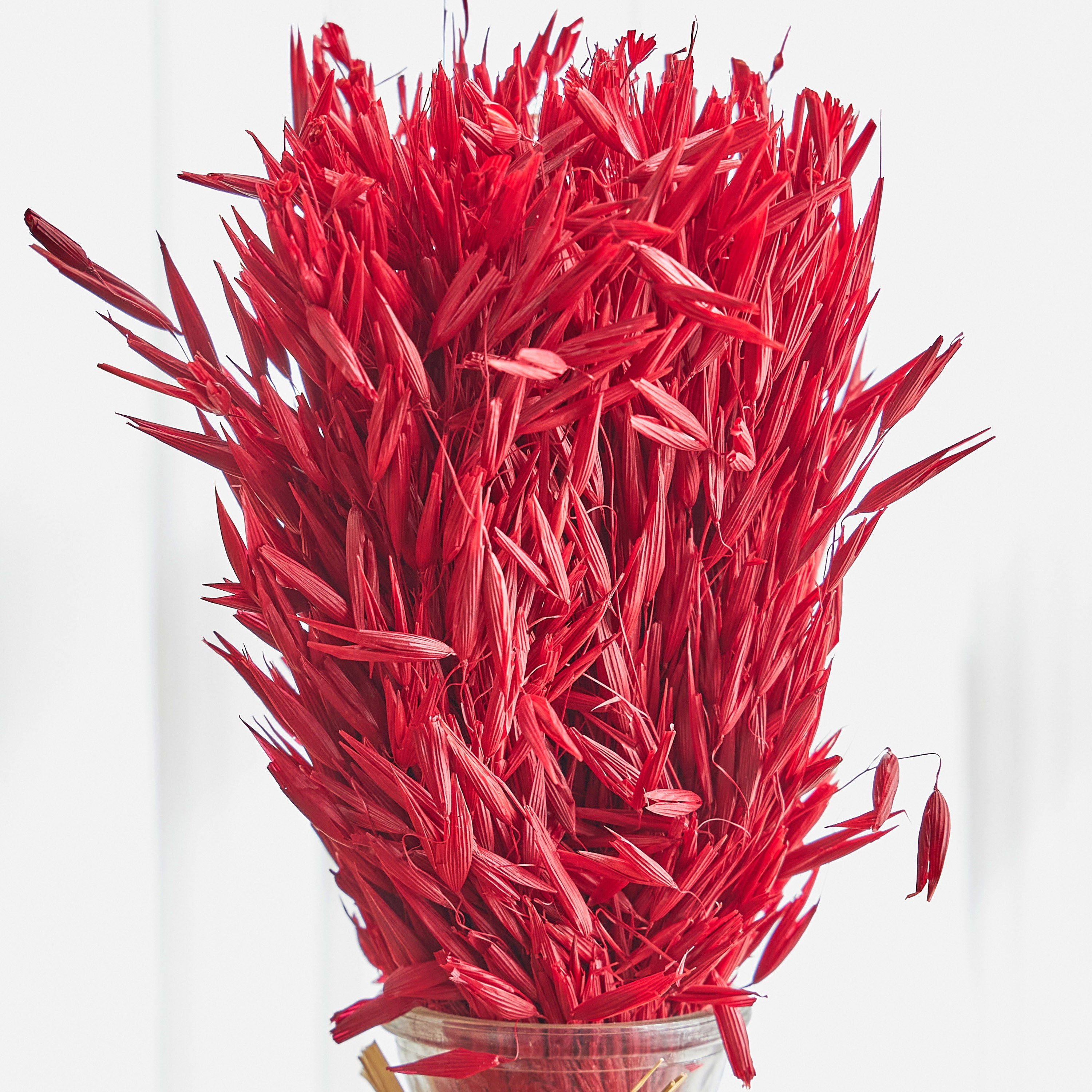 عشب أفانا - 32 سم-household-gardenandoutdoor-artificialflowersandplants-fillers-image-2