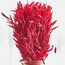 عشب أفانا - 32 سم-household-gardenandoutdoor-artificialflowersandplants-fillers-image-2