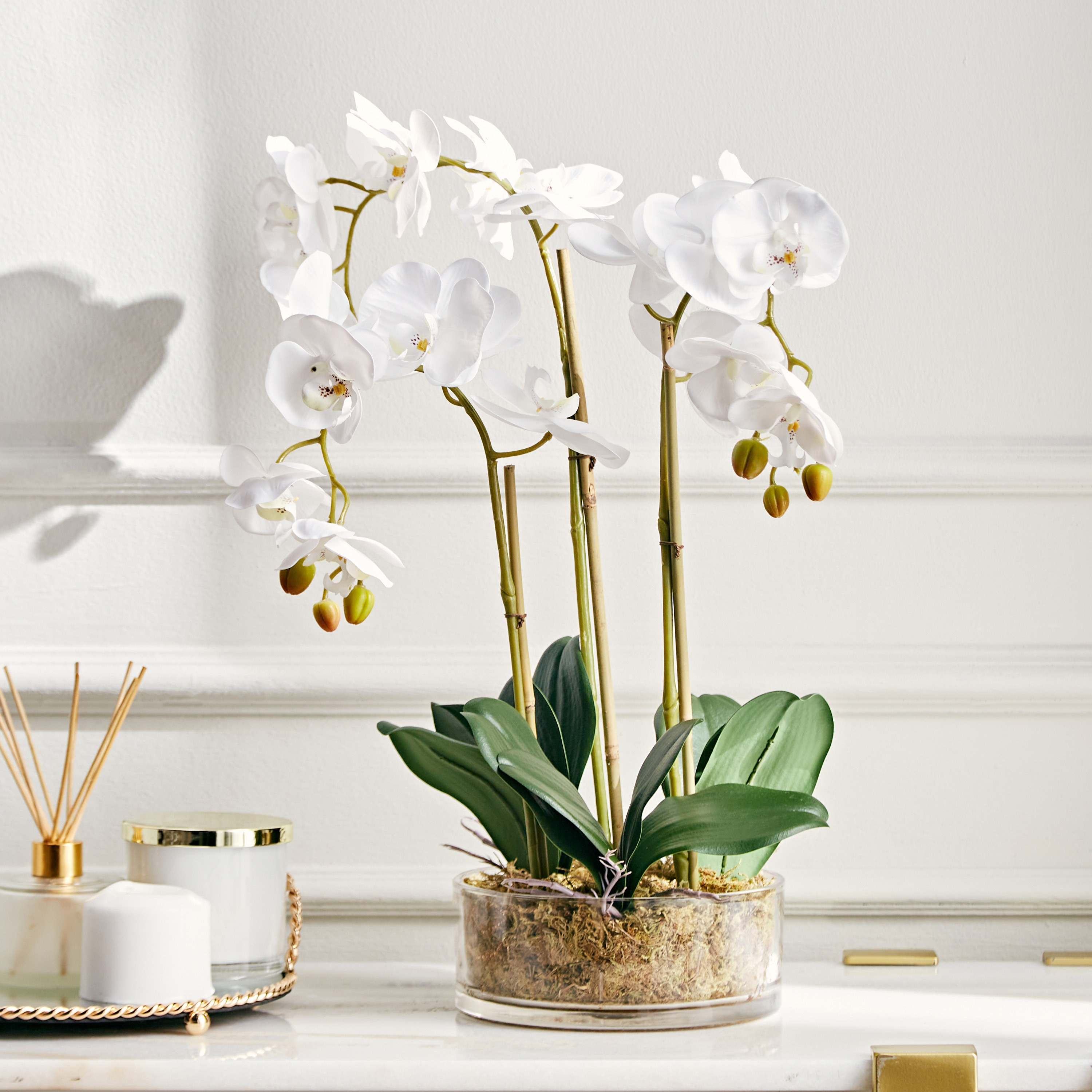 Luna Artificial Orchid with Pot - 58 cm