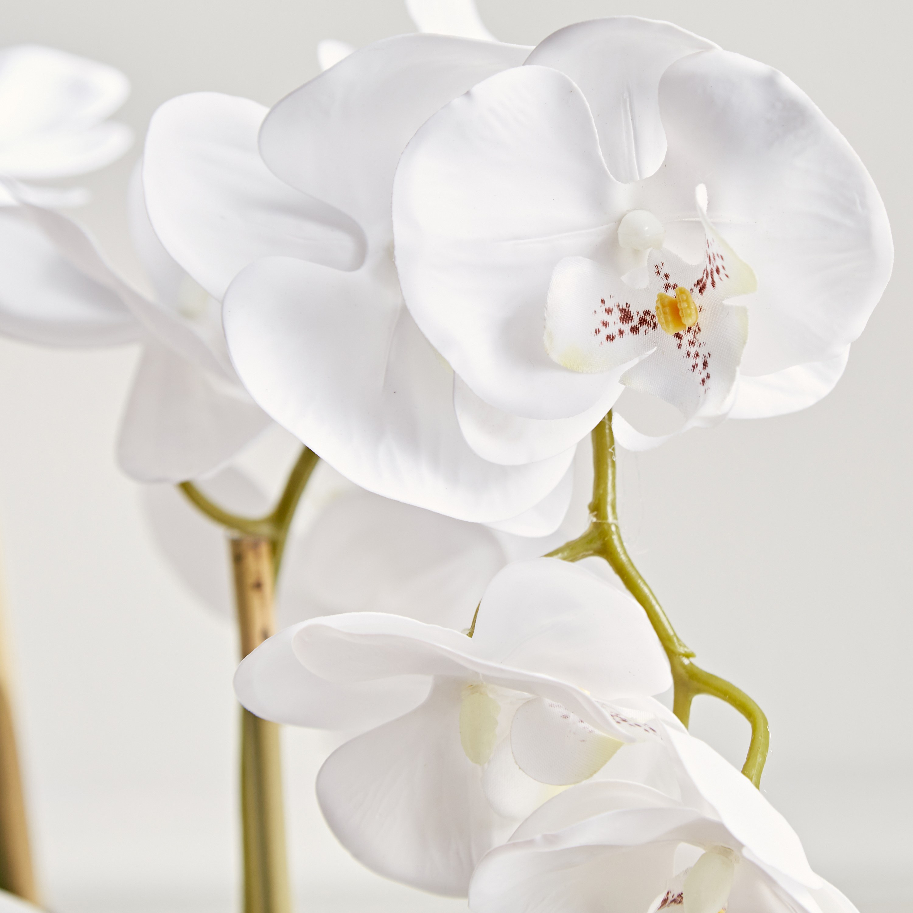Luna Artificial Orchid with Pot - 58 cm-household-gardenandoutdoor-artificialflowersandplants-flowers-image-2