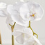 Luna Artificial Orchid with Pot - 58 cm-household-gardenandoutdoor-artificialflowersandplants-flowers-image-2