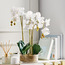 Luna Artificial Orchid with Pot - 58 cm-household-gardenandoutdoor-artificialflowersandplants-flowers-image-4