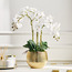 Livia Orchid Plant with Pot - 61 cm-household-gardenandoutdoor-artificialflowersandplants-flowers-image-1