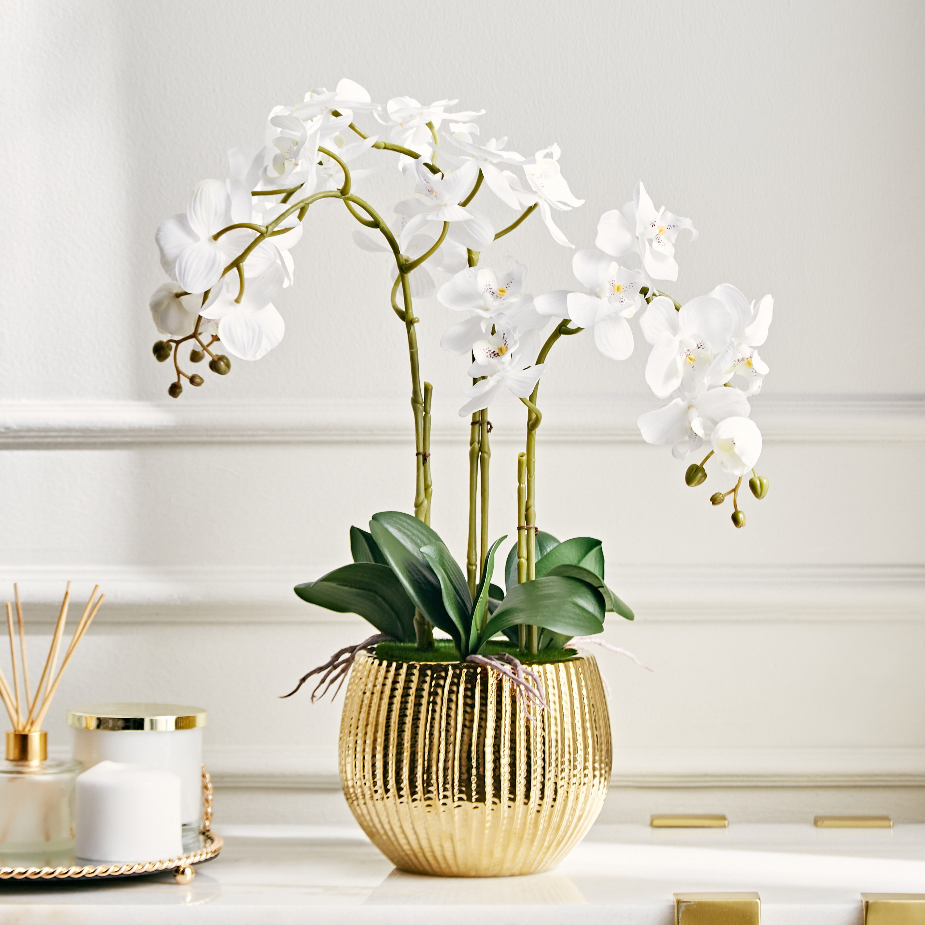 Livia Orchid Plant with Pot - 61 cm