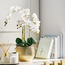 Livia Orchid Plant with Pot - 61 cm-household-gardenandoutdoor-artificialflowersandplants-flowers-image-4