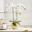 Gaia Orchid Plant with Pot - 55 cm-household-gardenandoutdoor-artificialflowersandplants-flowers-image-1