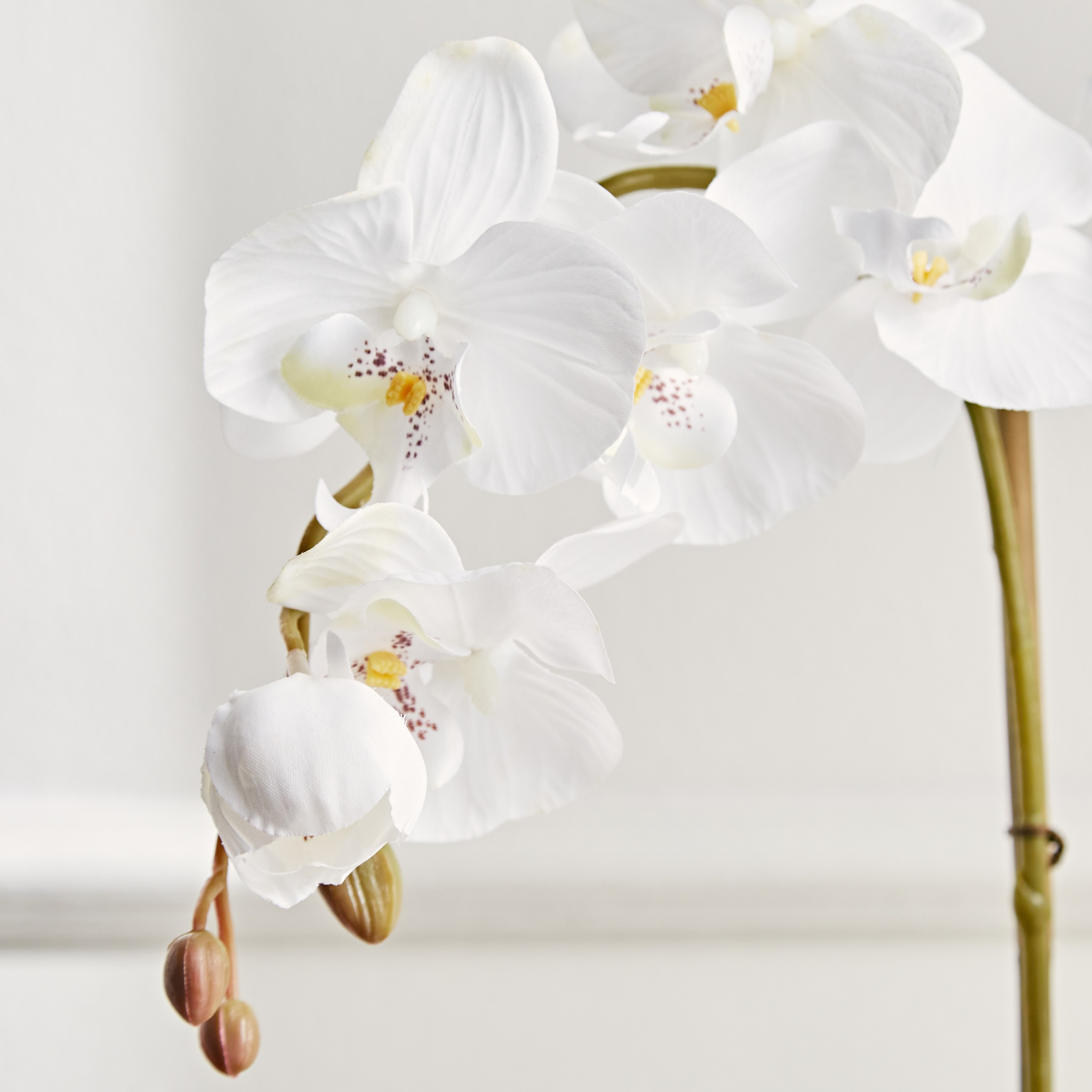 Gaia Orchid Plant with Pot - 55 cm-household-gardenandoutdoor-artificialflowersandplants-flowers-image-2