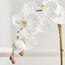 Gaia Orchid Plant with Pot - 55 cm-household-gardenandoutdoor-artificialflowersandplants-flowers-image-2