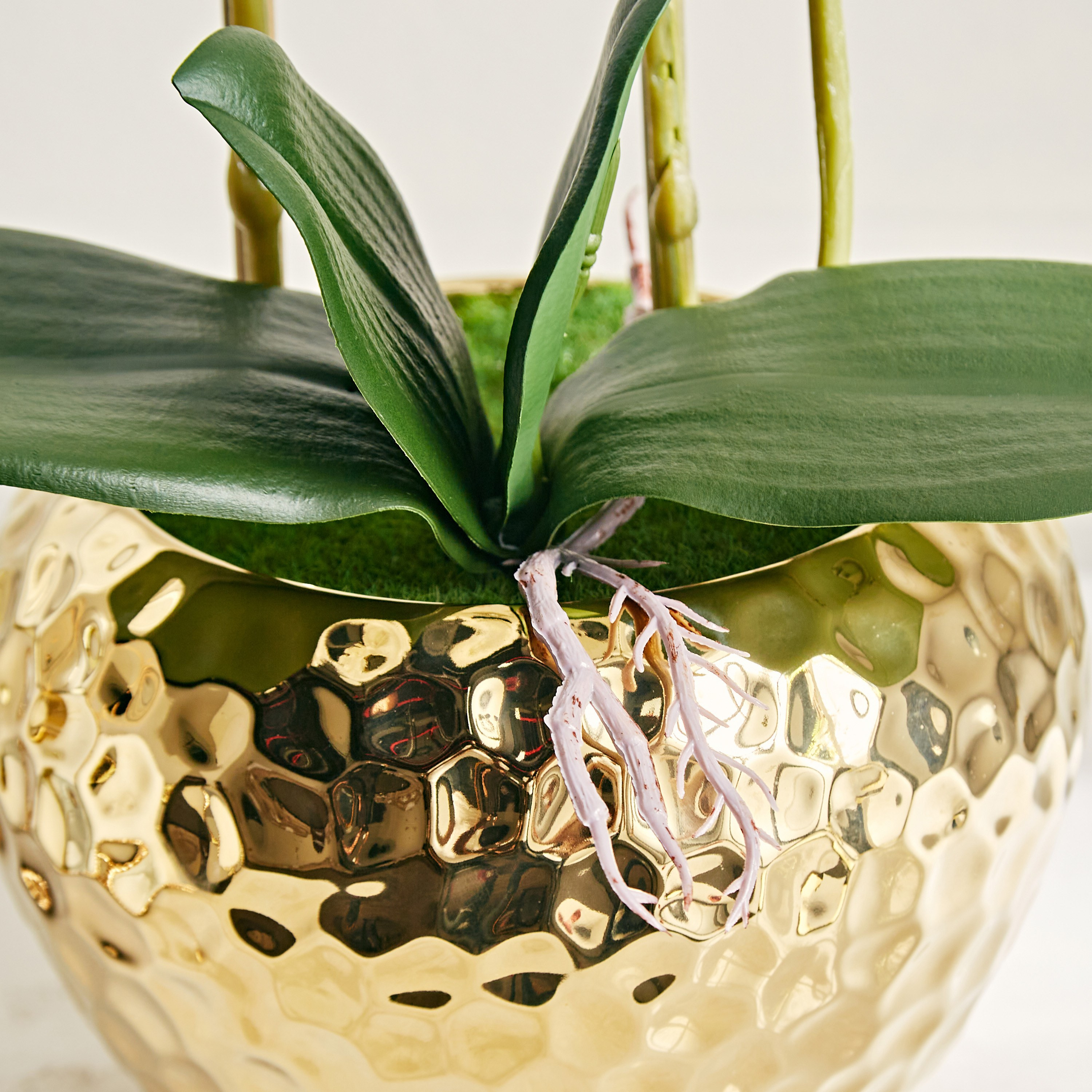 Gaia Orchid Plant with Pot - 55 cm-household-gardenandoutdoor-artificialflowersandplants-flowers-image-3