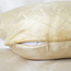 Chriz Cushion Cover - 45x45 cm-PROMO_HC_SA_TESTBINPROMO_080926-image-3