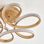 Gina Ceiling Lamp-PROMO_HC_SA_TESTBINPROMO_080926-image-3
