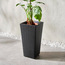 إناء زرع - الفرسكو - 70 سم-household-gardenandoutdoor-potsandplanters-planters-image-3