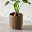 إناء زرع - ألفرسكو - 33 سم-binpromo_ALLBANKS_OMN_14032025-image-3