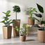Alfresco Planter - 21 cm-household-gardenandoutdoor-potsandplanters-planters-image-3