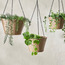 Alfresco Rattan Hanging Planter - 16 cm-household-gardenandoutdoor-potsandplanters-hangingplanters-image-3