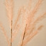 Reed Spray - 124 cm-household-gardenandoutdoor-artificialflowersandplants-fillers-image-2