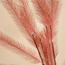 Reed Spray - 124 cm-household-gardenandoutdoor-artificialflowersandplants-fillers-image-5