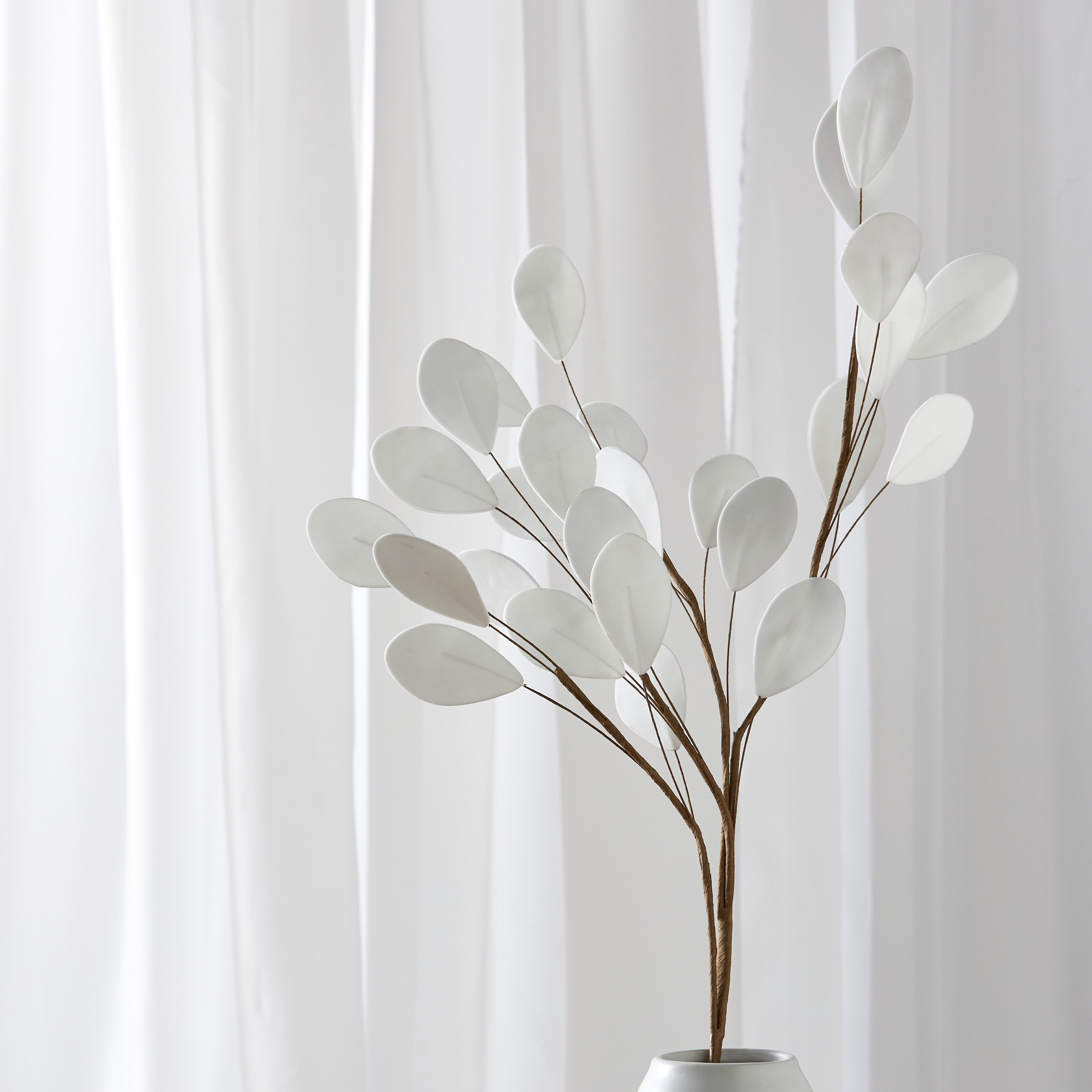 Thalia Dealbata Leaves - 110 cm