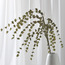 Dischidia Ruscifolia Leaves - 124 cm-binpromo_ALLBANKS_OMN_14032025-image-1