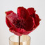 Traditional Magnolia Stem - 46 cm-household-christmas-wreathsgarlandsandflowers-flowers-image-2