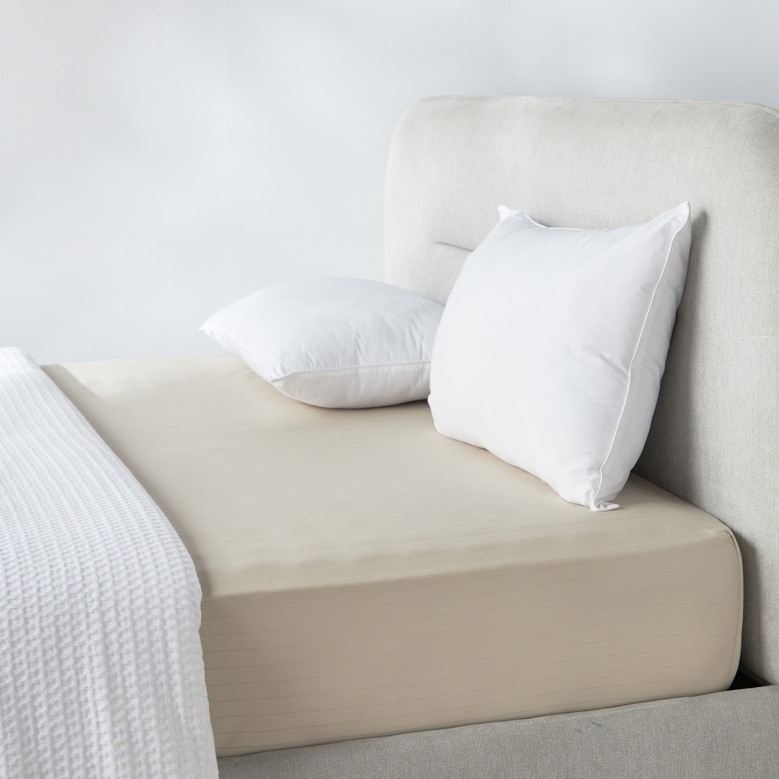 Hampton Cotton Sateen 220 Thread Count Super King Fitted Sheet - 200x205 cm-household-bedding-sheetsandpillowcases-fittedsheets-image-4