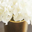 Suzie Hydrangea Flower with Pot - 13 cm-household-gardenandoutdoor-artificialflowersandplants-flowers-image-2