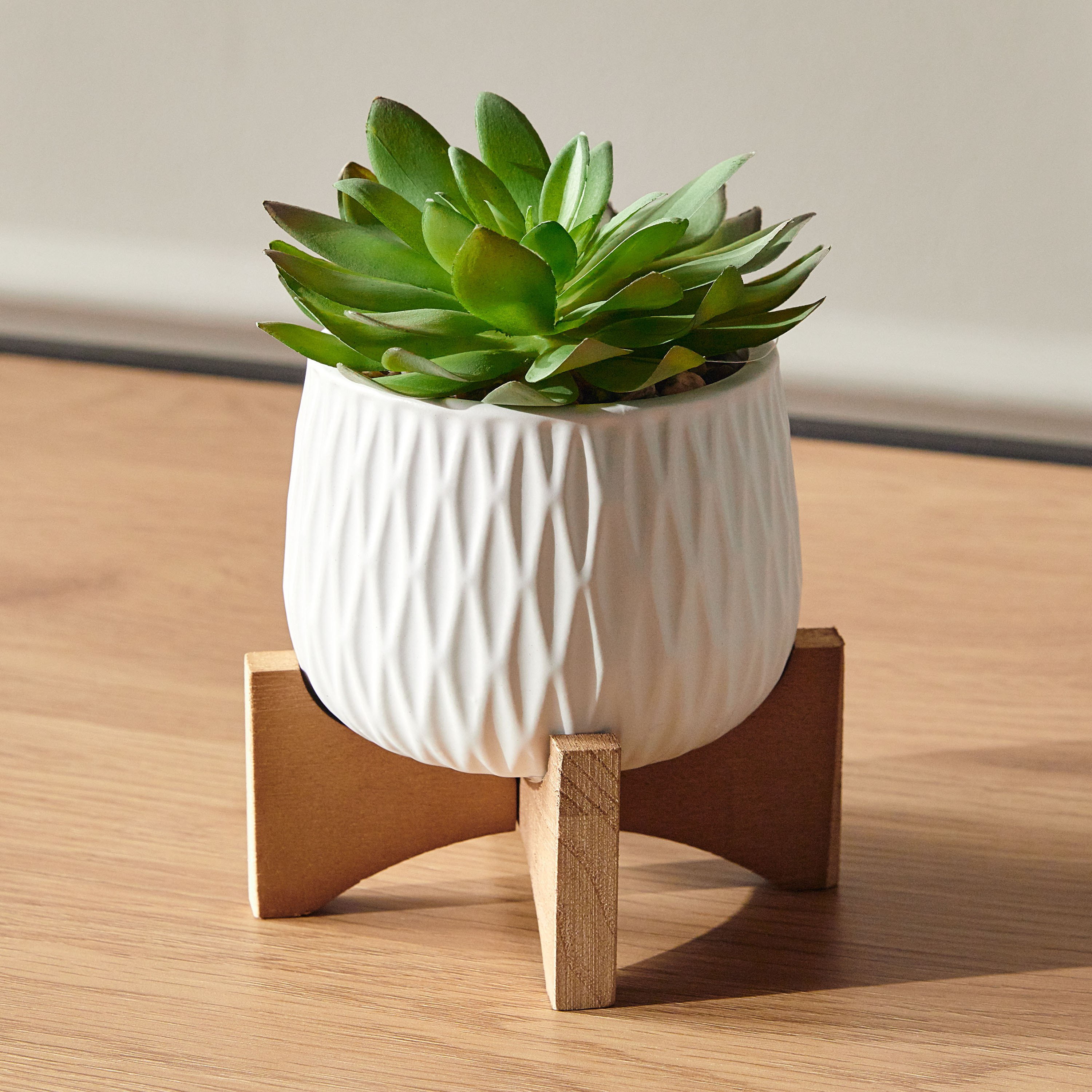 Succulent Plant in Pot - 15 cm-household-gardenandoutdoor-artificialplants-succulents-image-1